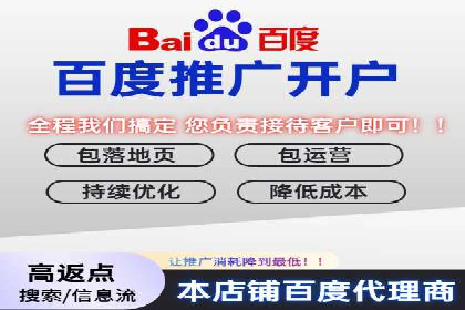 百度广告竞价策略解析与应用案例